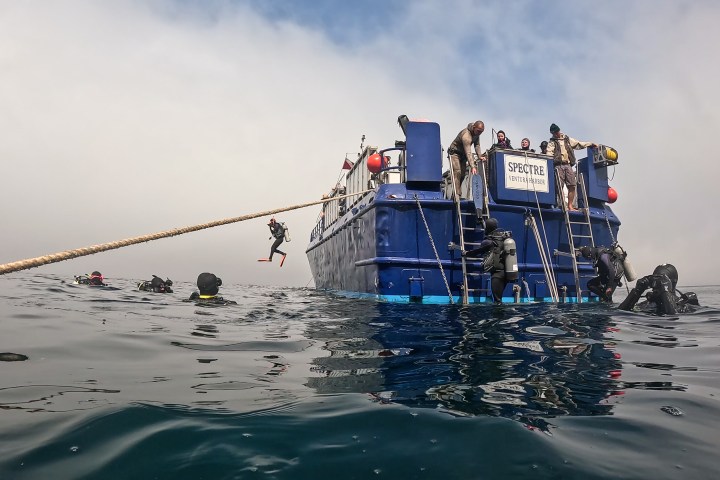 Divers enter and exit a blue boat in the ocean, with one mid-air jumping from a platform.
