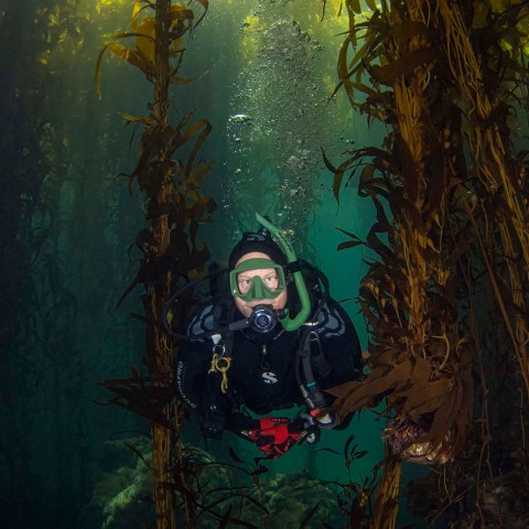 a man standing next to a tree