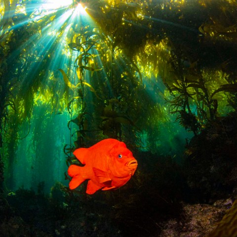 a painting of a sunset